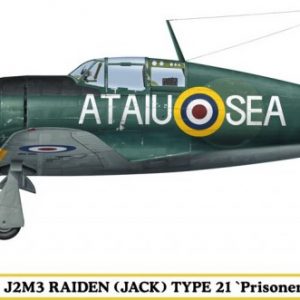 Modellino modellismo kit di montaggio aerei Hasegawa  RAIDEN TYPE 21 PRISONER KIT 1:48