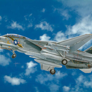 Modellini aerei modellismo model kit montaggio Italeri  F 14 A TOMCAT 1:48