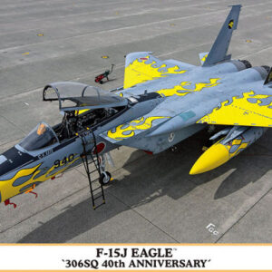 Modellino aereo da montare kit di montaggio Hasegawa F15J EAGLE 306 SQ 1:72