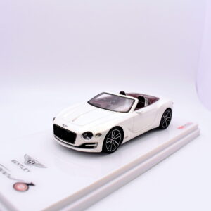 Modellino auto scala 1:43 bentley EXP 12 speed TSM modellismo statico